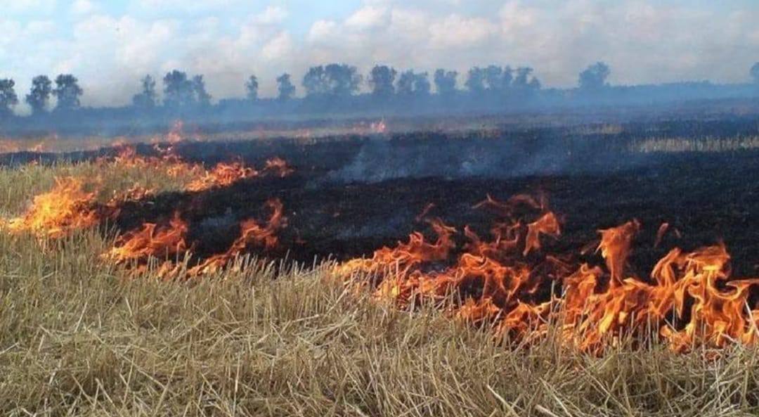 МЧС РОССИИ: В УСЛОВИЯХ ОСОБОГО ПРОТИВОПОЖАРНОГО РЕЖИМА ПОВЫШАЕТСЯ ОТВЕТСТВЕННОСТЬ ЗА НАРУШЕНИЯ. .